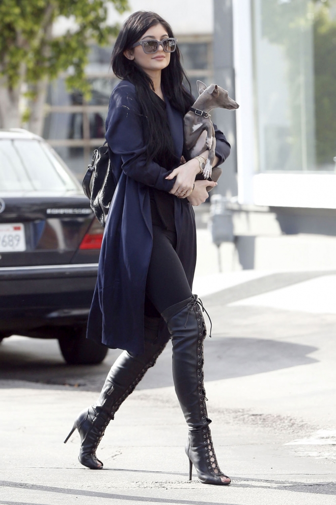 Mascotas famosos: Kylie Jenner y su perro a todas partes juntos