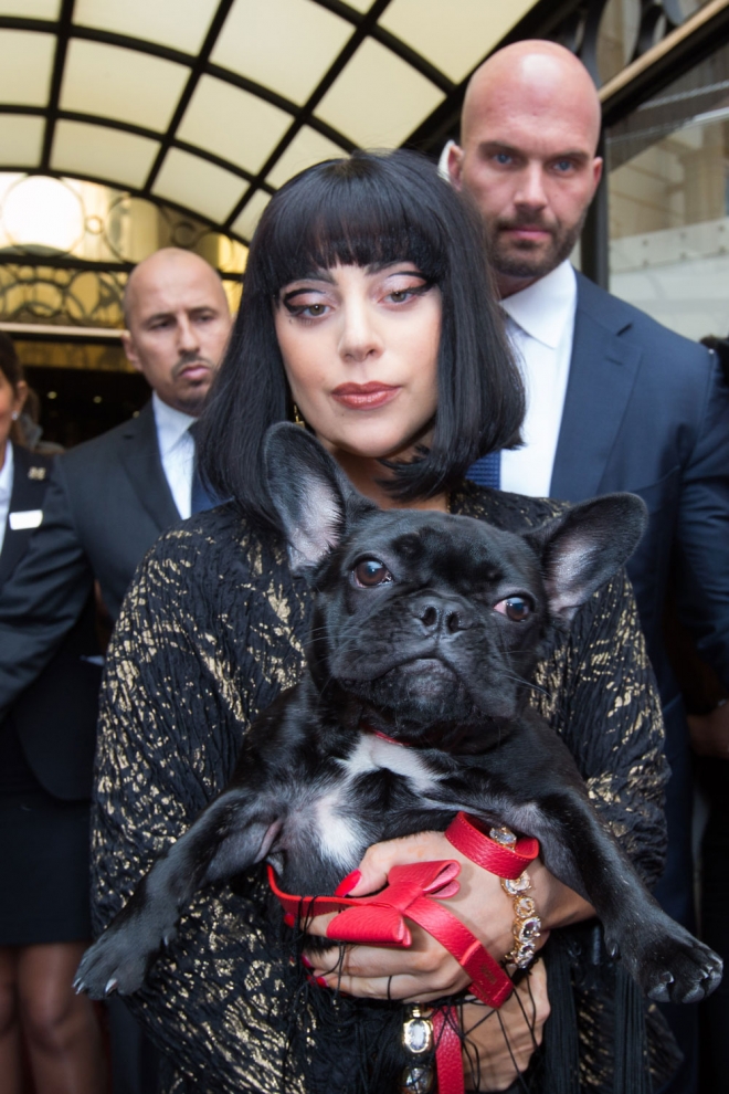Lady Gaga, una diva y su mascota