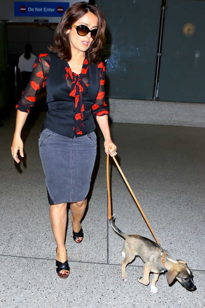 Salma Hayek, perros famosos