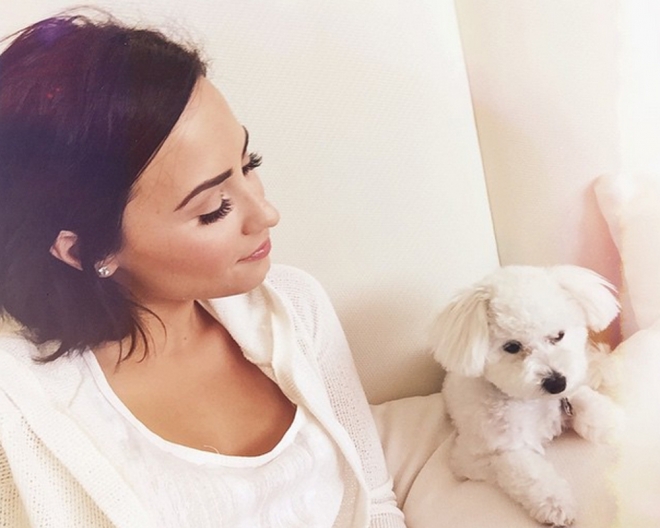 Nombres para perros famosos: Buddy, el perro de Demi Lovato
