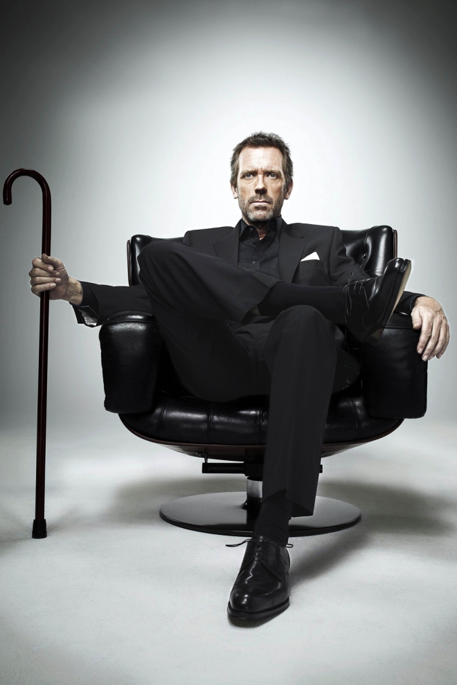 Hugh Laurie, carrera de éxito