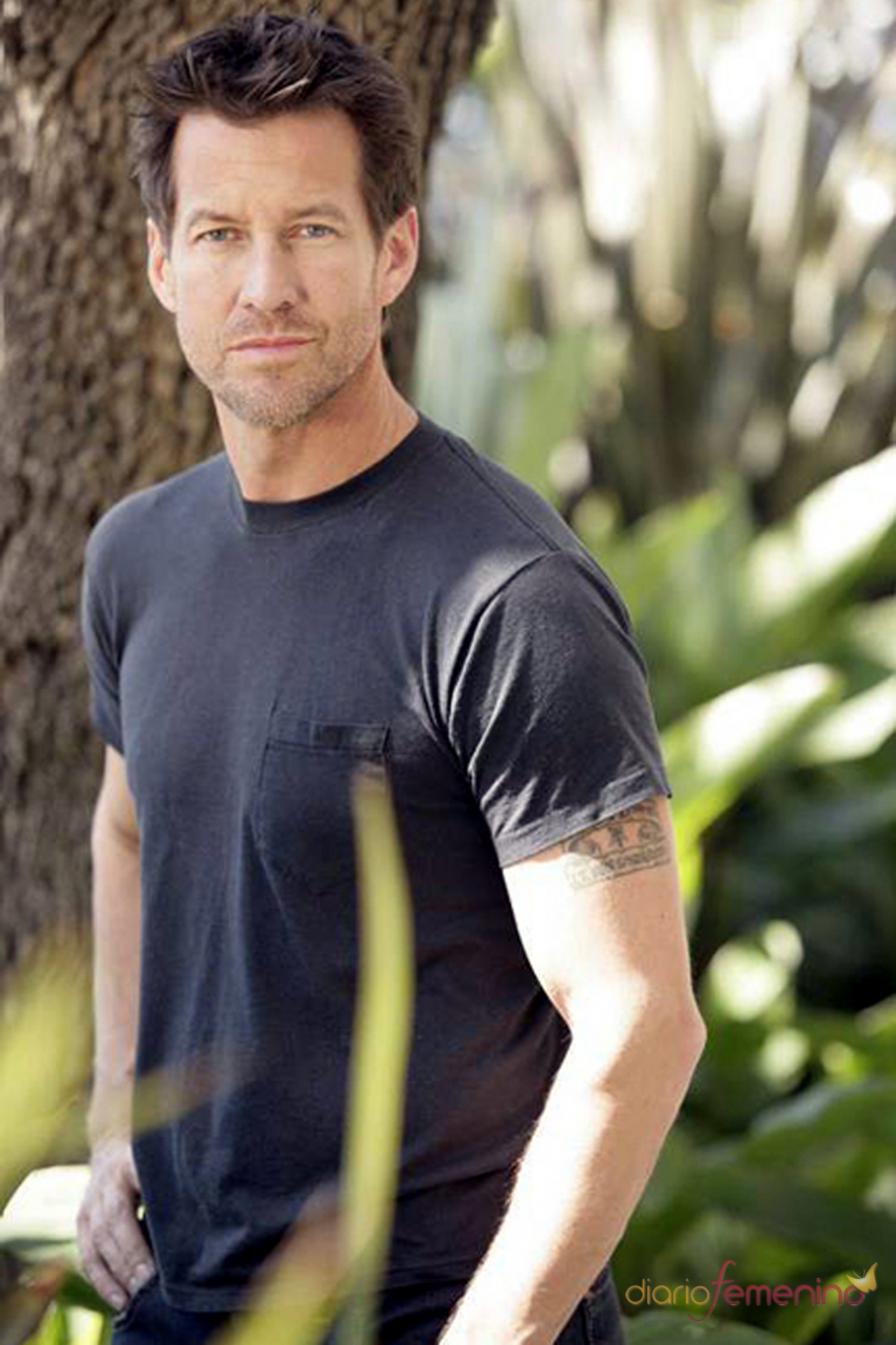 Does Mike Delfino Die in Desperate Housewives? Season 8 Death Explained
