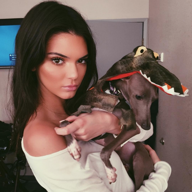 Perros de famosos: Kendall Jenner, junto a Norman