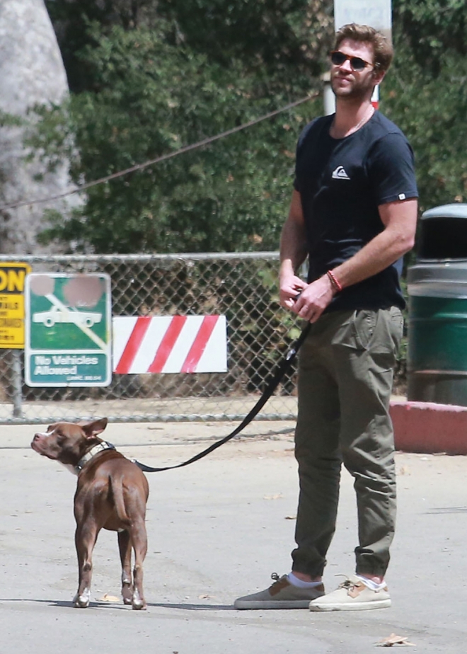 Perros de famosos: la mascota de Liam Hemsworth