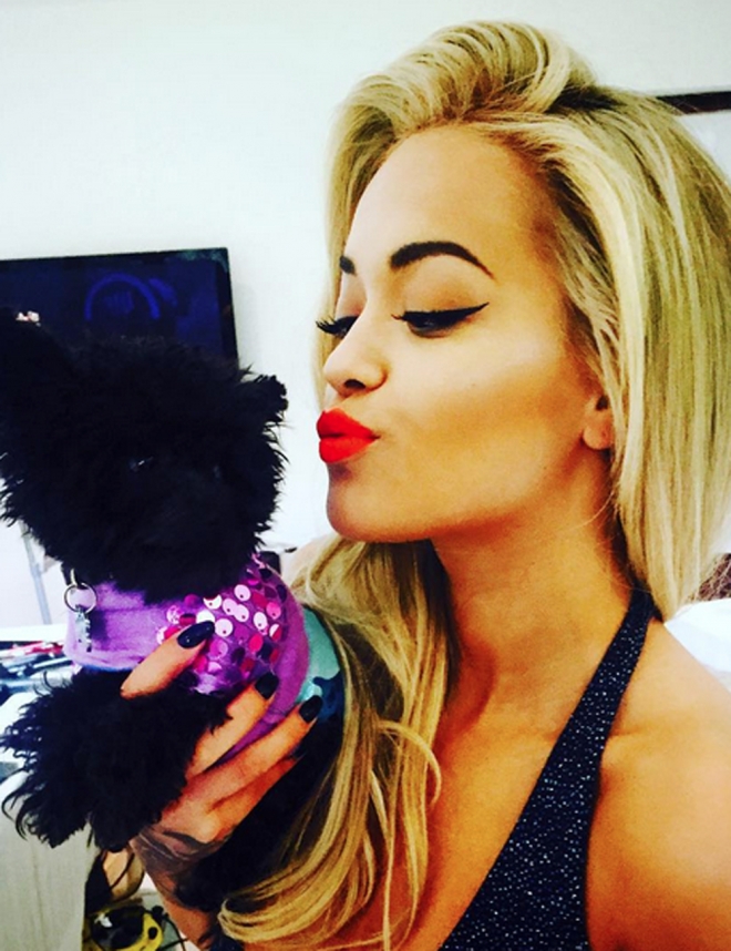 Perros de famosos: Cher, la perrita de Rita Ora