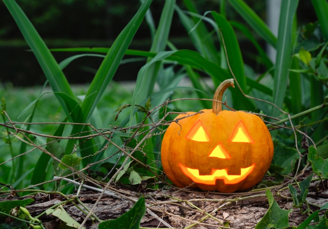 Imágenes de Halloween: la noche del miedo