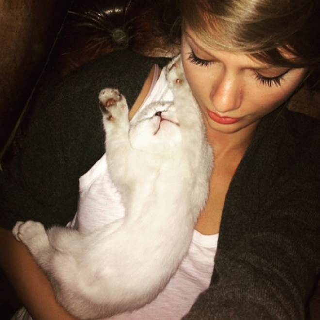 La gata de Taylor Swift dominará el mundo porque es adorable