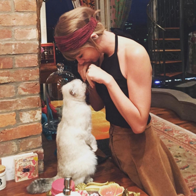 Taylor Swift es odiosa porque hasta sus gatos son fantásticos