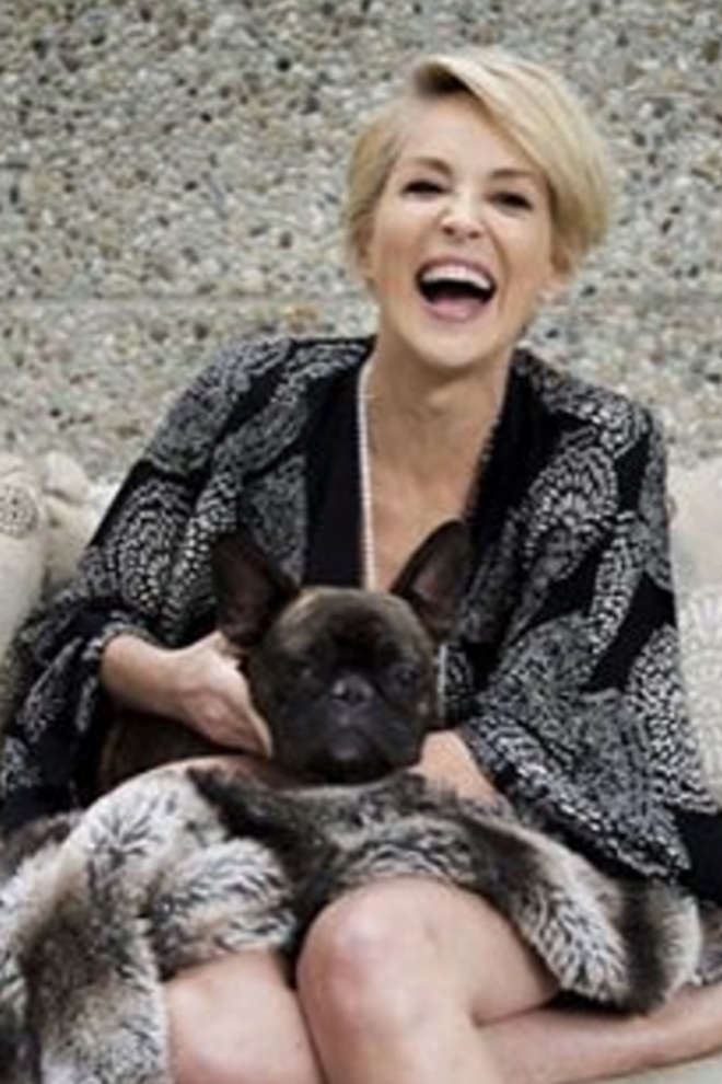 Perros de famosos: Joe, el fiel amigo de Sharon Stone