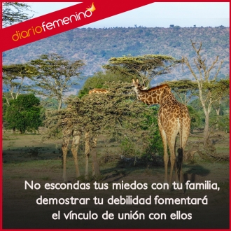 Frases de amor: el vínculo y la familia siempre acabarán con el miedo