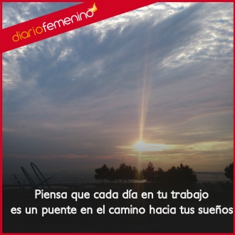Frases motivadoras sobre el trabajo: una fuente inagotable de creatividad diaria
