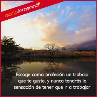 Frases motivadoras sobre el trabajo: escoge aquella labor que te guste