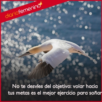 Frases para conseguir tus metas: no te desvíes del objetivo