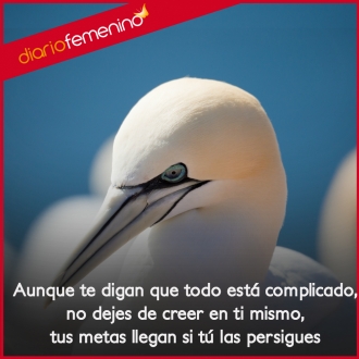 Frases para conseguir tus metas: no hagas caso de lo que digan los demás