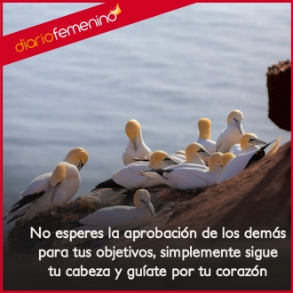 Frases para conseguir tus metas: no esperes la aprobación de los demás, sigue tu corazón