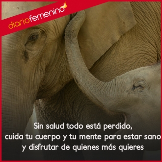 Frases para valorar tu salud: es tu mayor tesoro
