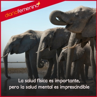Frases sobre la amistad: la física es importante, la mental es imprescindible
