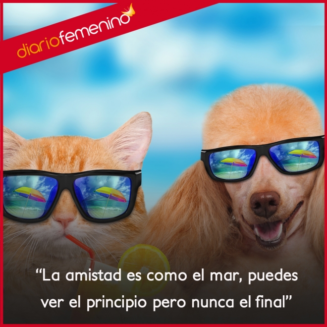 Frases de amistad: infinita como el mar