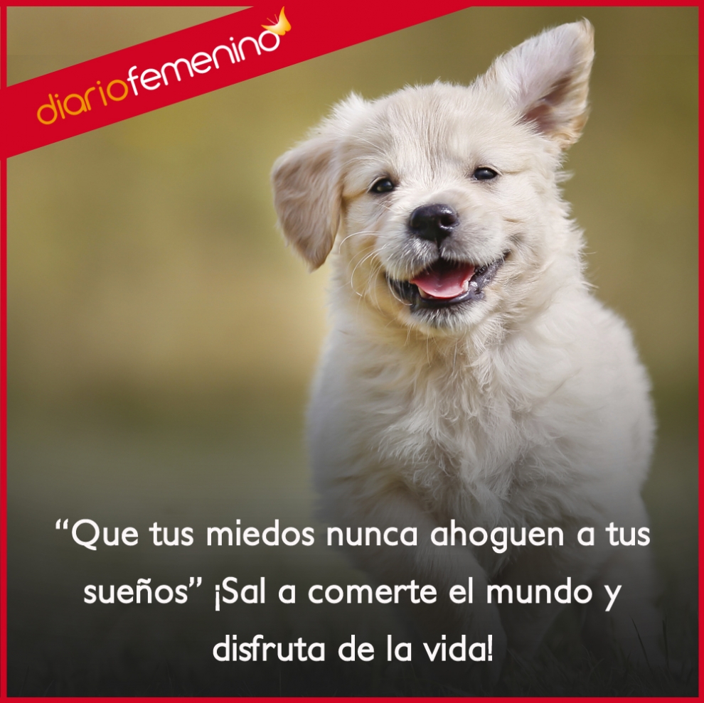 Frases para mejorar la autoestima: No dejes sitio al miedo