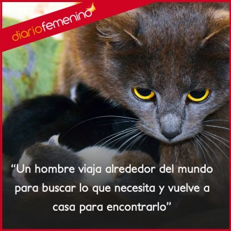 Frases para la familia: todo está en tu hogar
