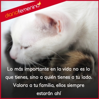 Frases para la familia: valora a los tuyos