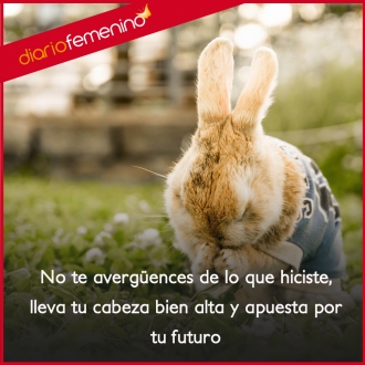 Frases de superación: apuesta por ti