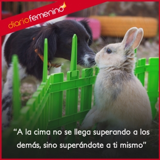 Frases de superación: ¡supérate!