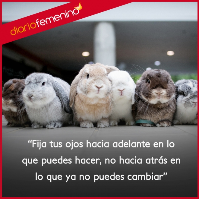 Frases de superación: pon la vista en el futuro Frases de superación: pon la vista en el futuro