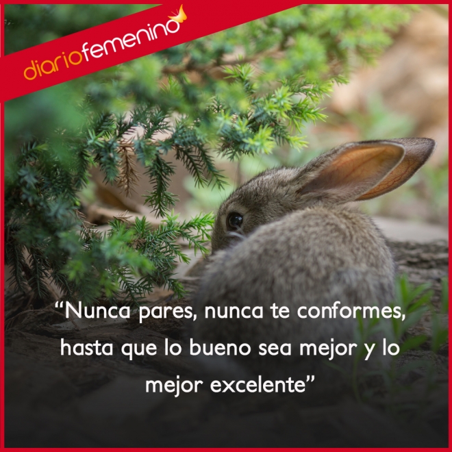 Frases de superación: no pares nunca