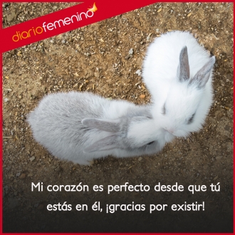 Frases para enamorar: ¡gracias por existir!