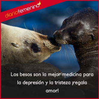 Frases para enamorar: ¡regala amor!