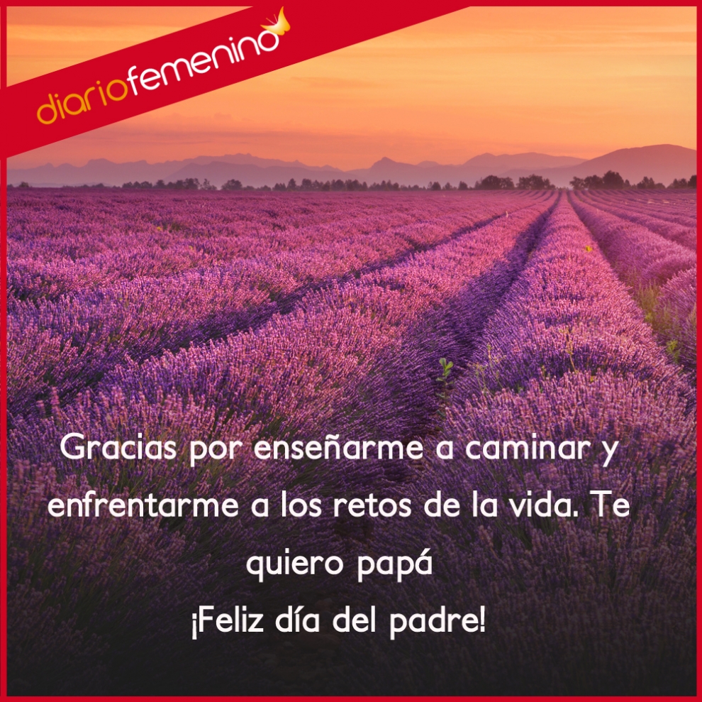 Da del Padre en Diario Femenino 19 de marzo Frases de amor para el da del padre gracias por todo papá