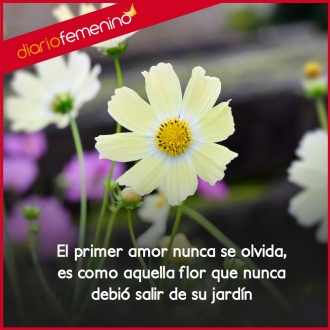 Frases de amor: la flor del primer romance