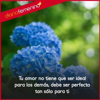 Frases bonitas de amor: la belleza de la naturaleza del romance