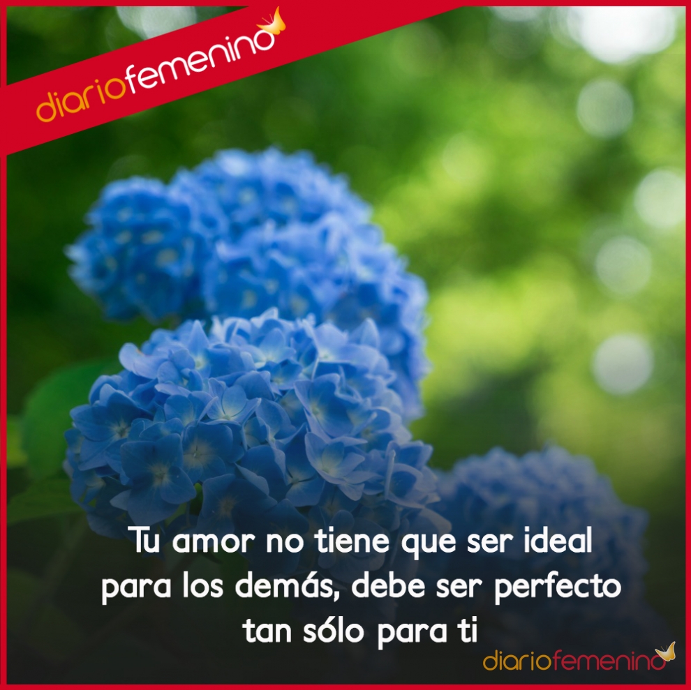 Frases bonitas de amor la belleza de la naturaleza del romance