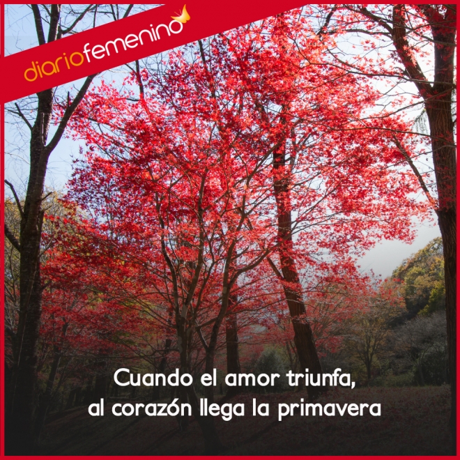 Frases de amor y romance: el triunfo de la primavera