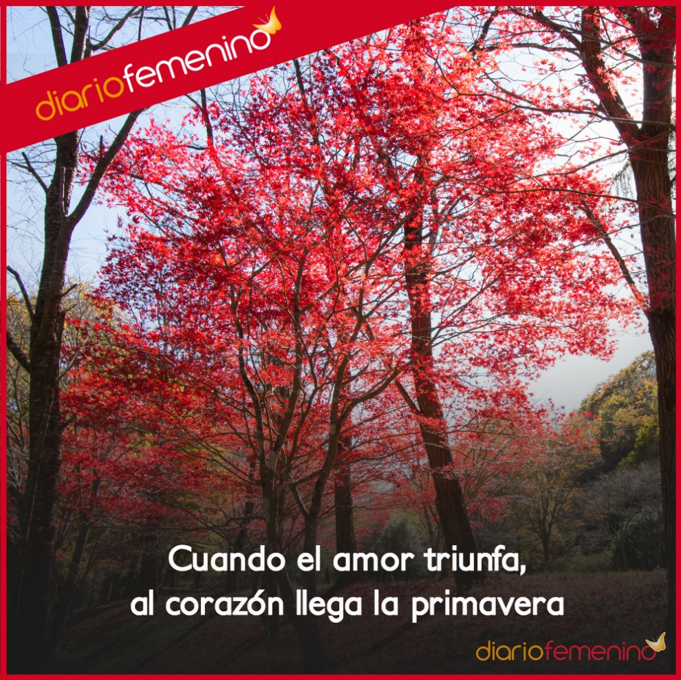 Frases de amor y romance: el triunfo de la primavera