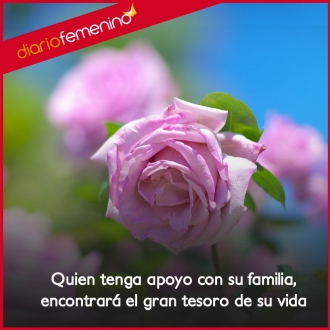 Frases para familiares: son el gran tesoro de la vida