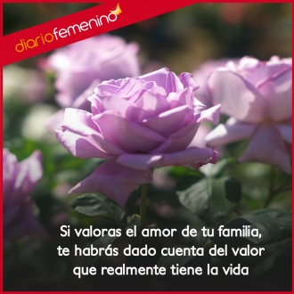 Frases para la familia: guardan un gran valor