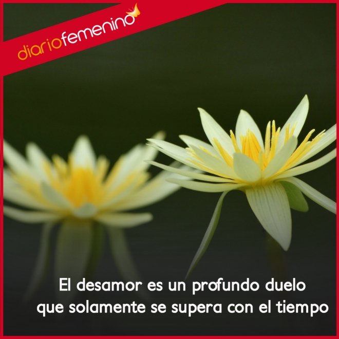 Frases de desamor: la mejor cura es el tiempo