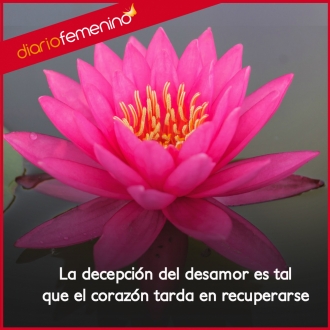 Frases sobre el desamor: el dolor del corazón