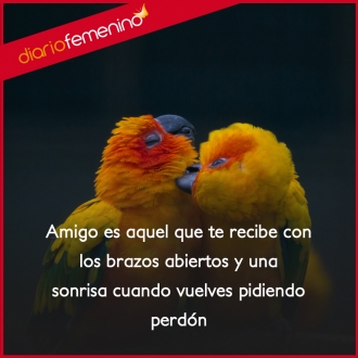 Frases sobre la verdadera amistad: te quiere por encima de todo