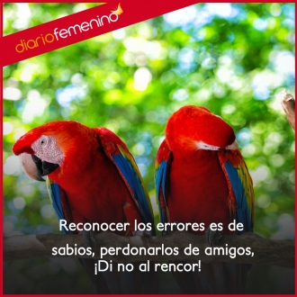 Frases sobre la verdadera amistad: comparte contigo