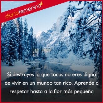 Frases de amor para el medio ambiente: aprende a respetar