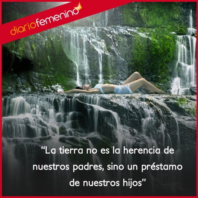 Frases de amor para el medio ambiente: es de todos, ámala Frases de amor para el medio ambiente: es de todos, ámala