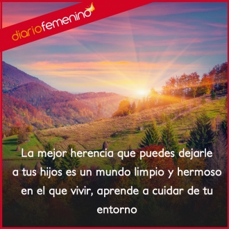 Frases de amor para el medio ambiente: es tu mejor herencia