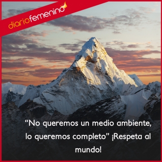 Frases de amor para el medio ambiente: querer un mundo mejor y completo