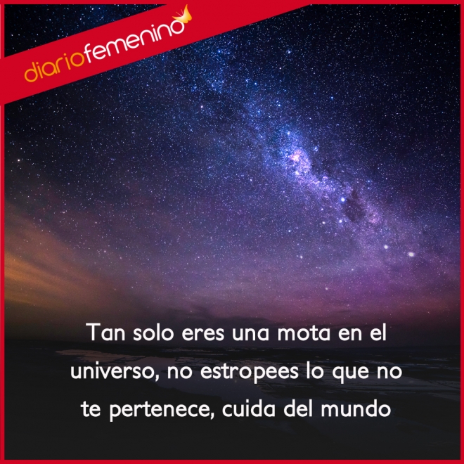 Fotos de amor para el medio ambiente: eres tan solo una mota del universo