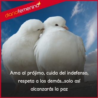 Frases sobre la paz: ama al prójimo