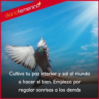 Frases sobre la paz: cultiva tu mundo interior